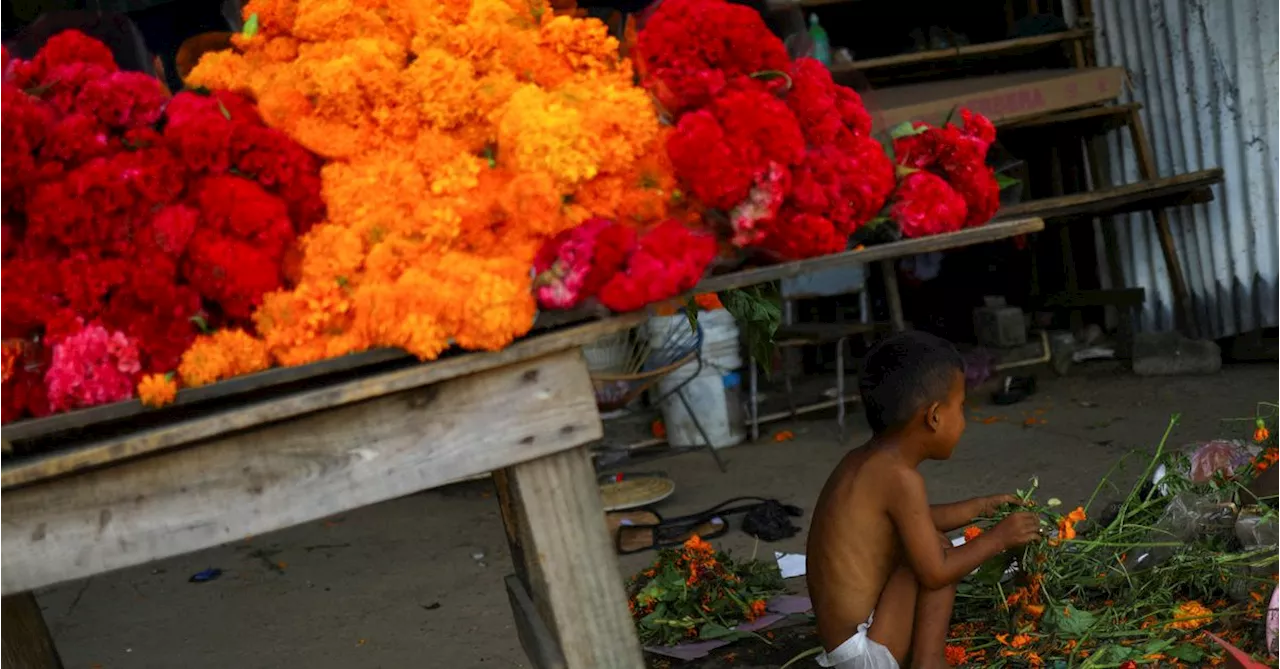 Amid Acapulco devastation, Mexicans mark Day of the Dead