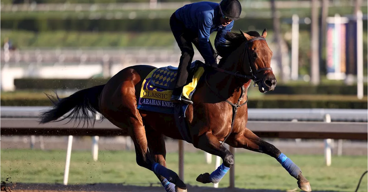 Horse racing-Baffert's Arabian Knight Breeders' Cup favorite after Arcangelo scratches