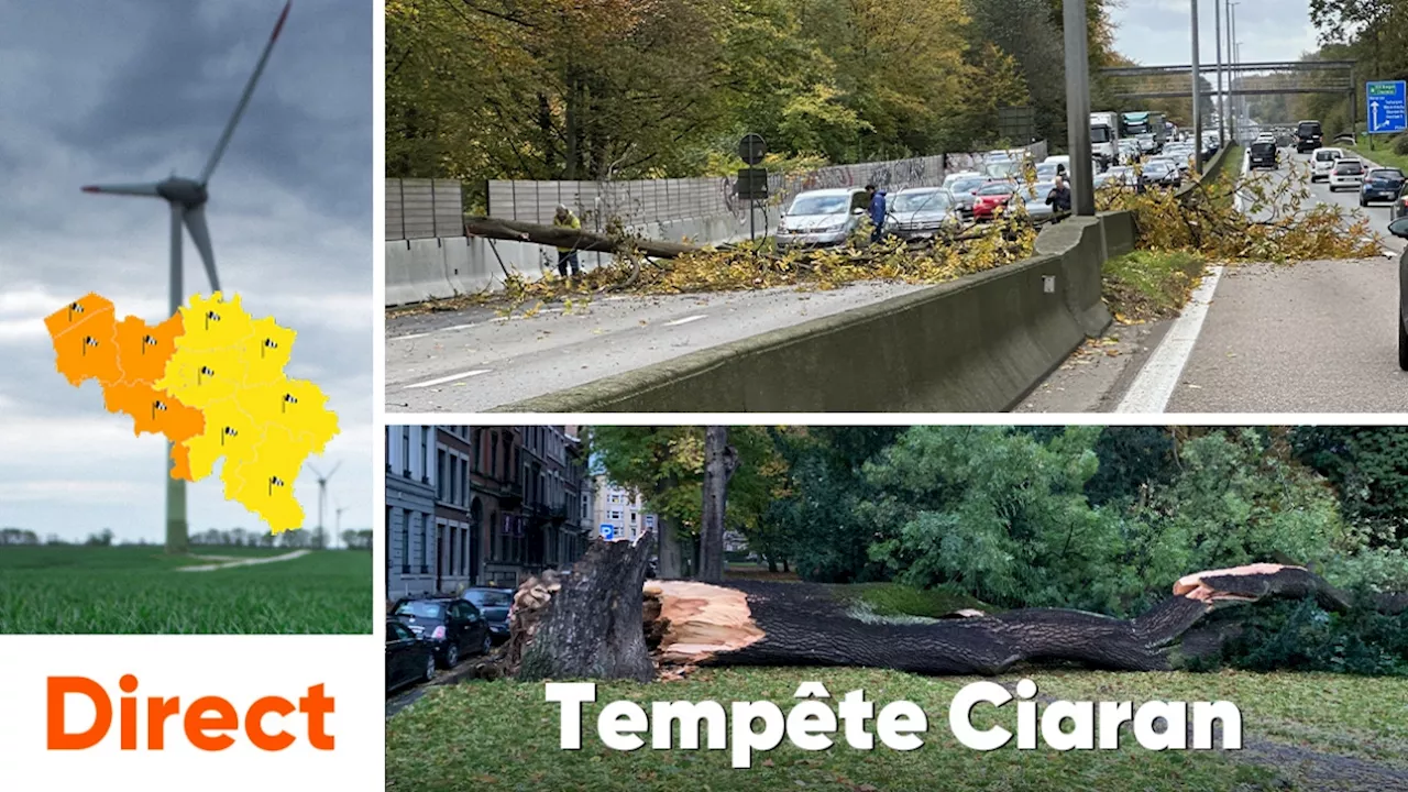 La tempête Ciaran traverse la Belgique: les pompiers en intervention sur tout le territoire