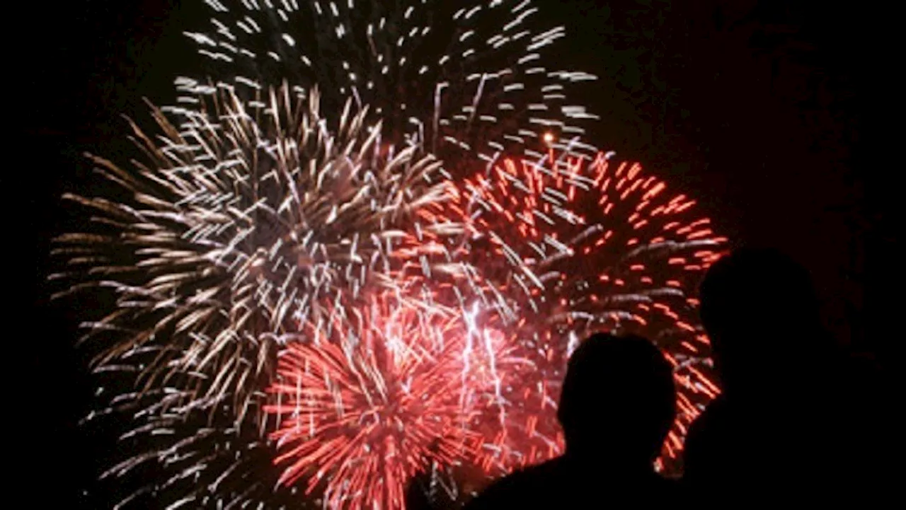 'Sound from fireworks at least 7 times louder for animals' - SABC News