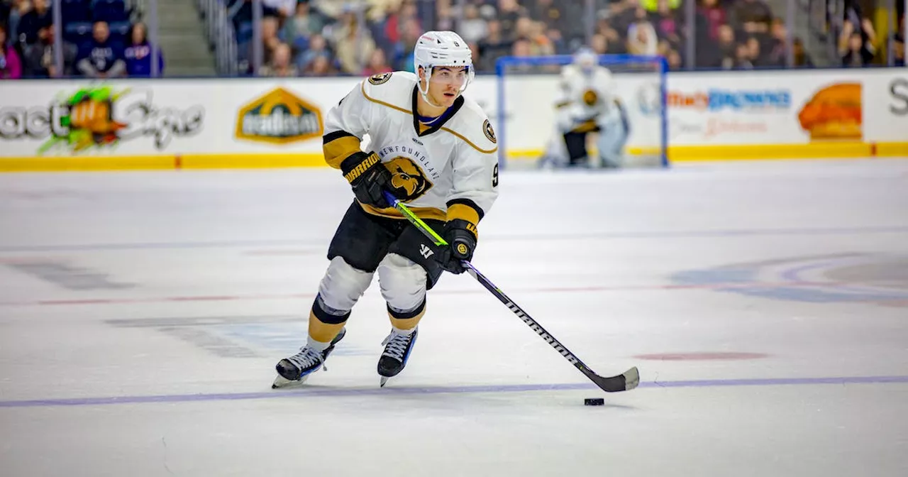 ‘I just love being a part of it’: Newfoundland Growlers’ Tate Singleton's love of hockey carries him to St. John’s