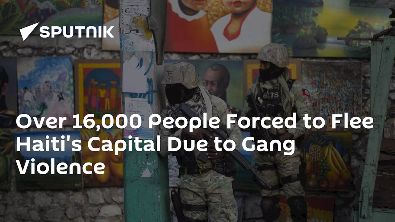 Over 16,000 People Forced to Flee Haiti's Capital Due to Gang Violence