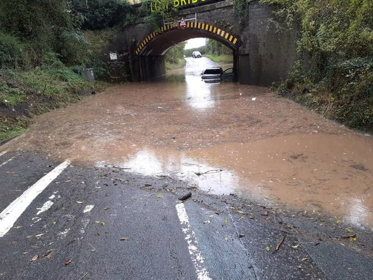 Storm Ciaràn causes fallen tree to block rail travel between Wolverhampton, Telford and Shrewsbury