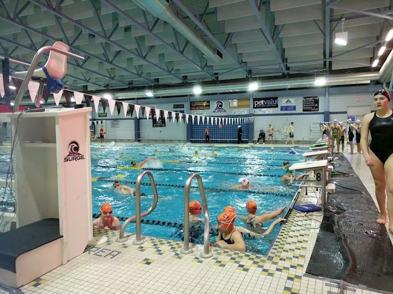 Surge swimmers strike gold hosting regional meet at Rhodes