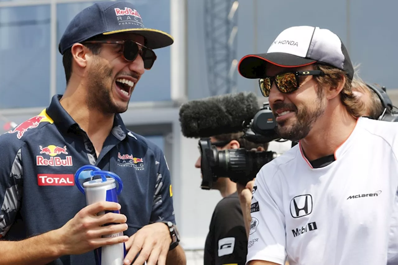 Fernando Alonso: «Daniel Ricciardo ist bester Fahrer»