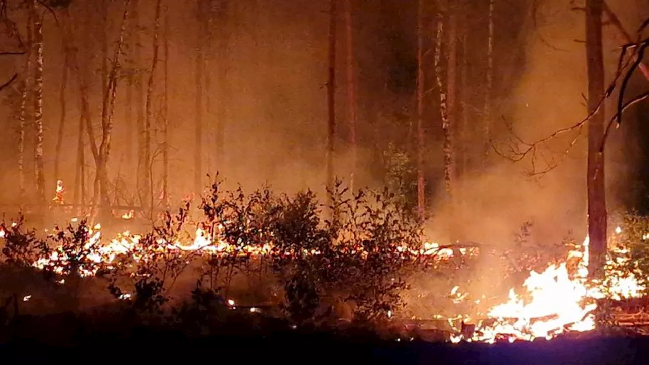 Brände: Weit weniger Feuer in der Waldbrandsaison 2023