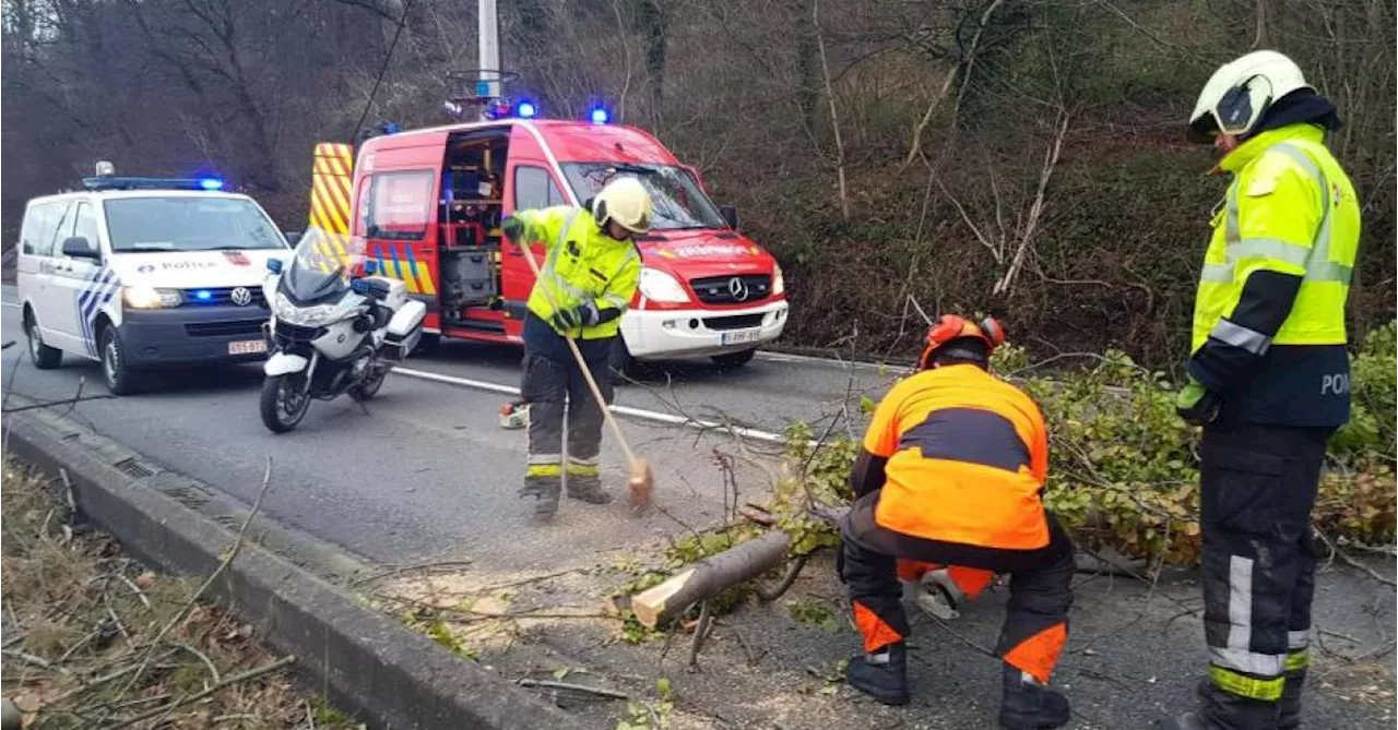 La tempête Ciaran reconnue comme « tempête officielle » après avoir atteint une intensité de 9 Beaufort, de