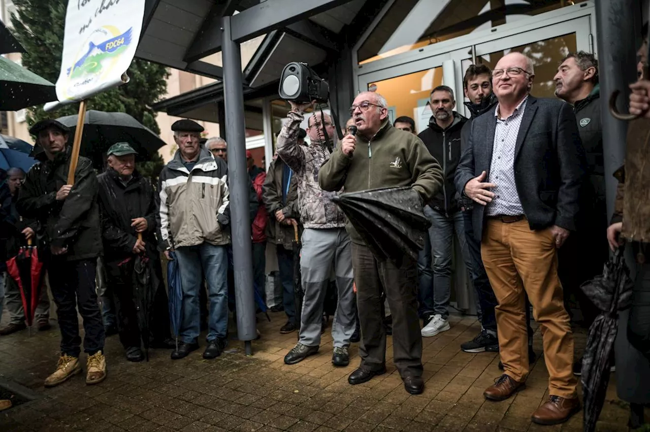 Landes et Pyrénées-Atlantiques : l’expérimentation sur la chasse traditionnelle des alouettes devant la justice