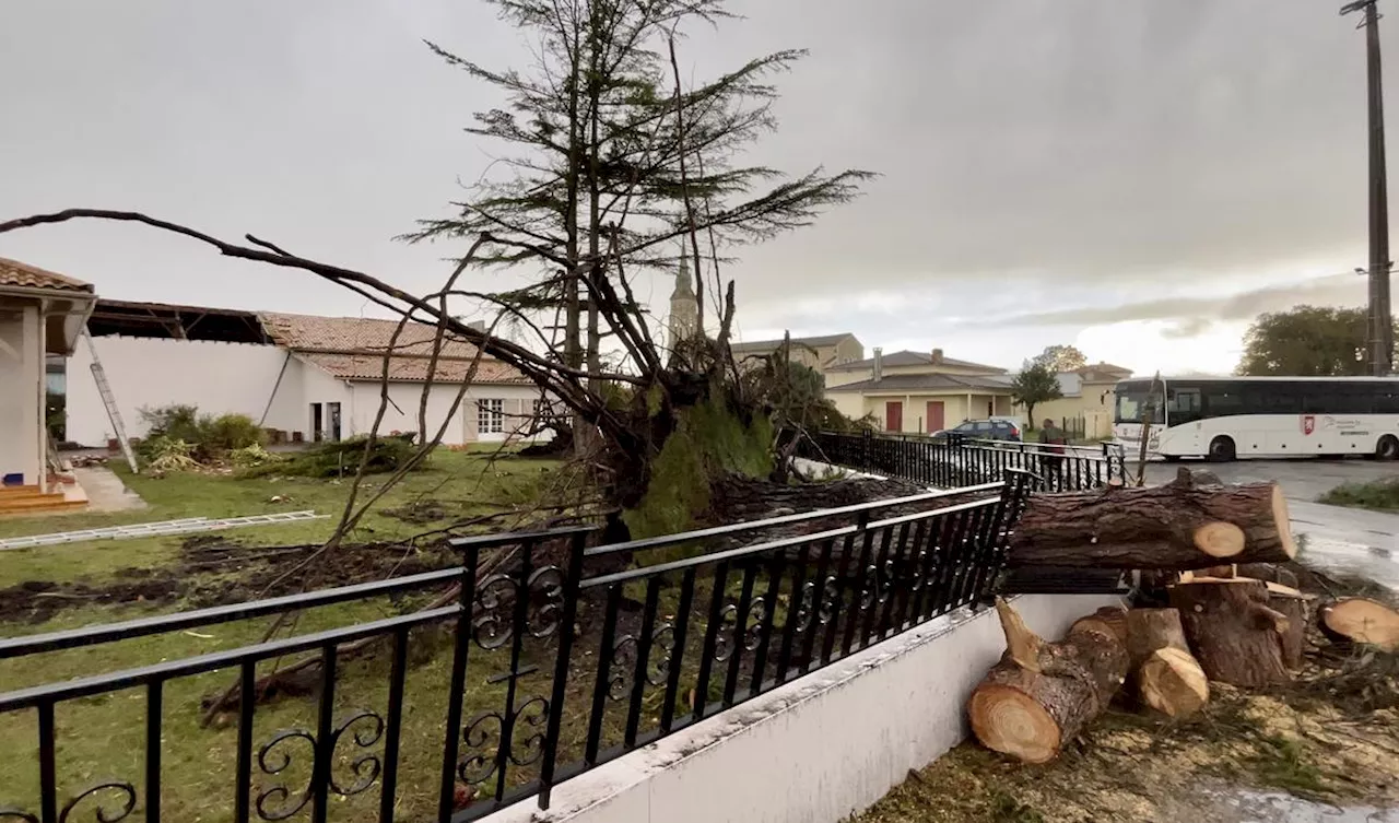 Tempête Ciaran en Gironde : 24 maisons endommagées à Vendays-Montalivet