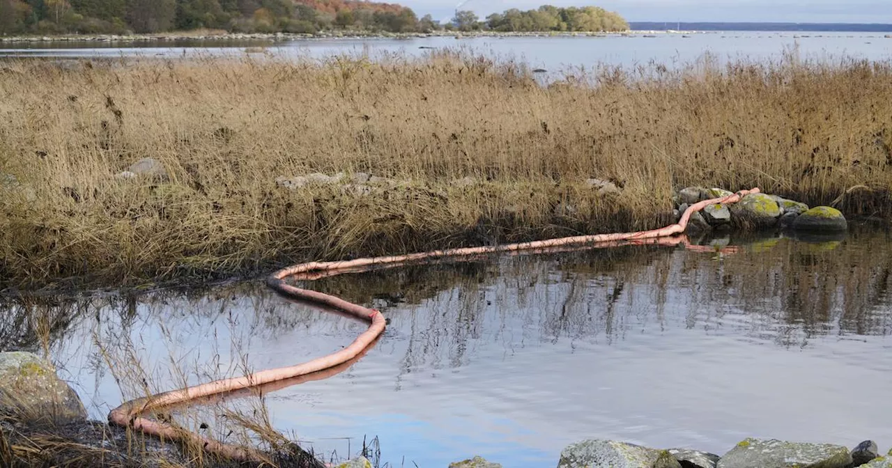 Sanerad olja från Marco Polo ska värma Malmö