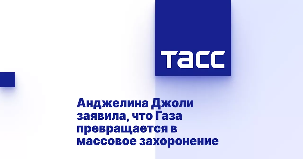 Анджелина Джоли заявила, что Газа превращается в массовое захоронение