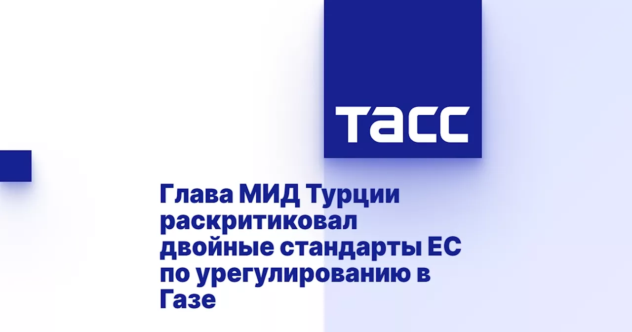 Глава МИД Турции раскритиковал двойные стандарты ЕС по урегулированию в Газе