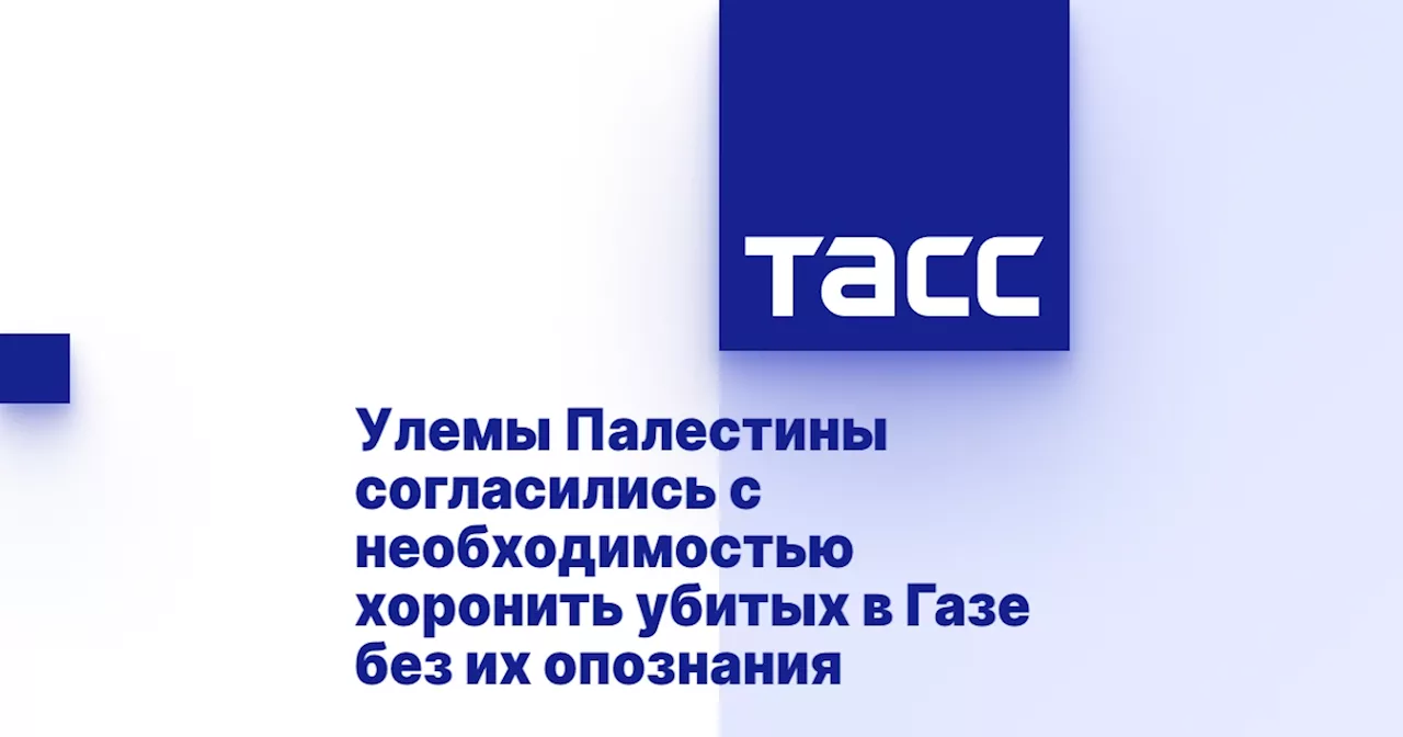 Улемы Палестины согласились с необходимостью хоронить убитых в Газе без их опознания