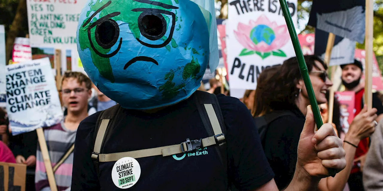 Nach Antisemitismus-Vorwürfen: Fridays for Future in Abwehrhaltung