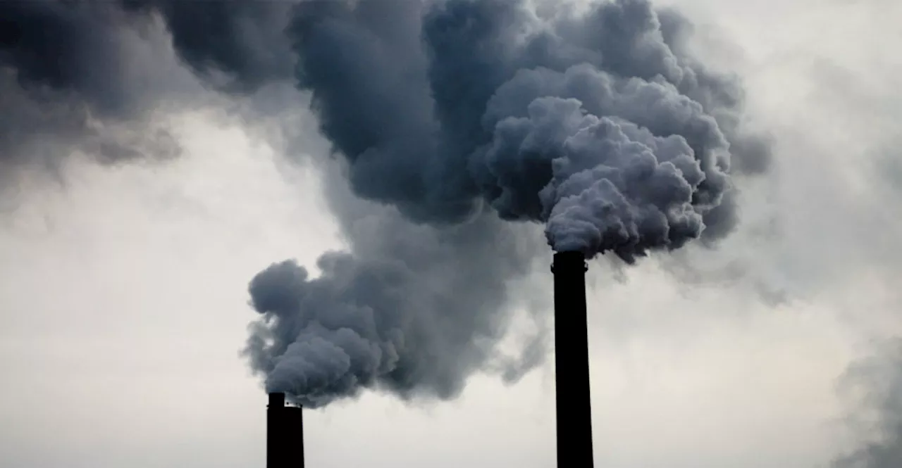 Eskom pollution kills 330 people a year, company says