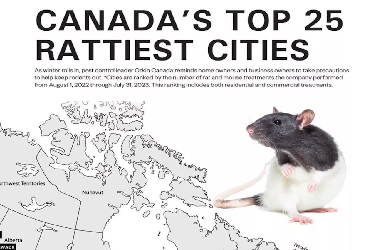 Hate rats? You might want to make a move to Chilliwack