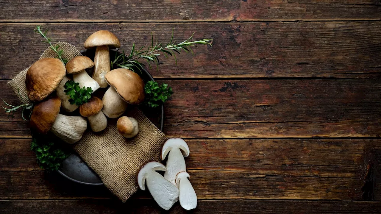 Australian woman arrested in lethal mushroom mystery