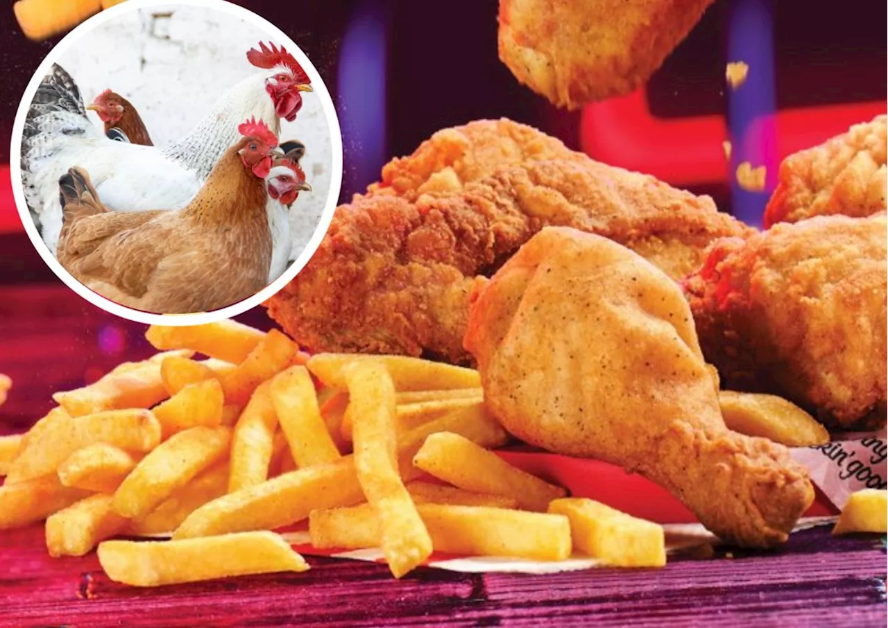 KFC Lesotho closes its doors due to SA avian flu outbreak