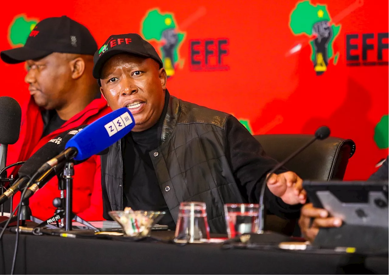 Load shedding favours Boks?: SA sides with Julius Malema [watch]