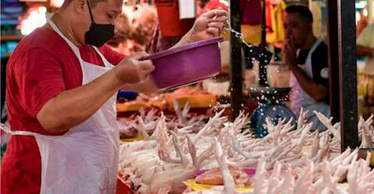 KPDN implements three steps to monitor chicken prices