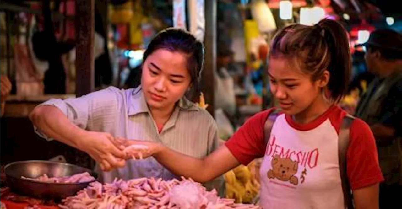 Penjimatan henti subsidi ayam perlu biayai inisiatif utama, kata ahli akademik