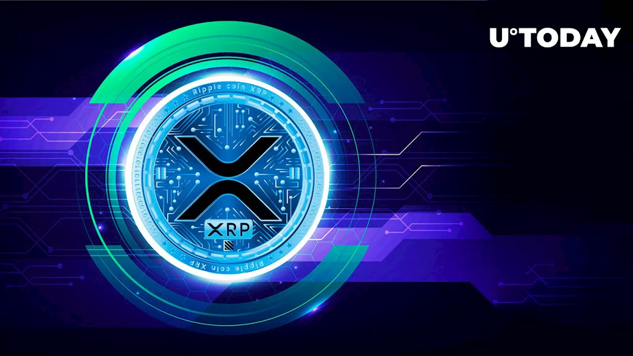 XRP Holders' Final Airdrop Batch Now Available, Here's How to Claim It