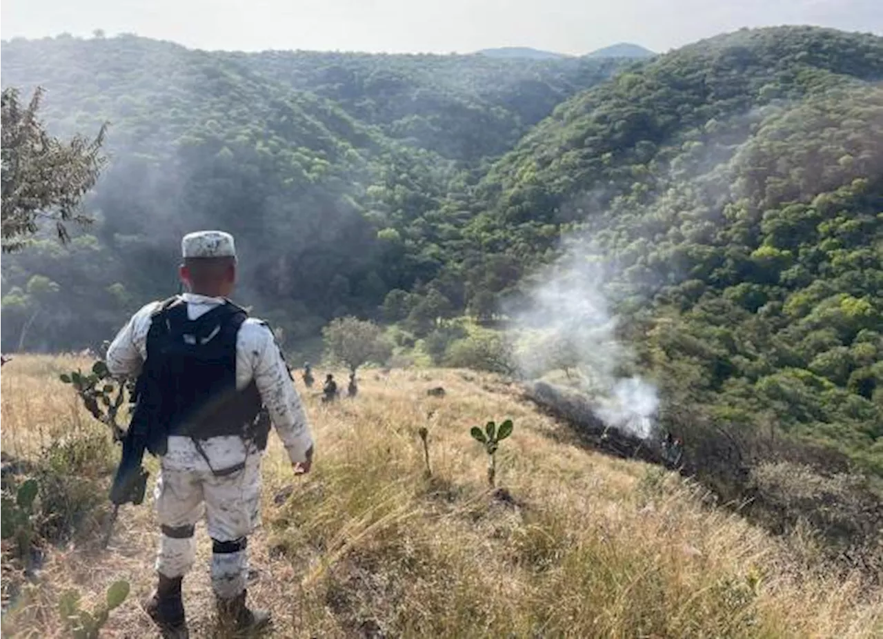 Avioneta se desploma en Morelos; fallecen cuatro tripulantes