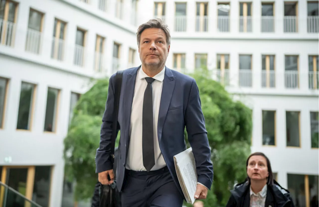 «Antisemitismus ist in keiner Gestalt zu tolerieren»: Robert Habeck hält eine Video-Ansprache gegen den Judenhass in Deutschland. Der deutsche Wirtschaftsminister betont die historische Verantwortung gegenüber Israel
