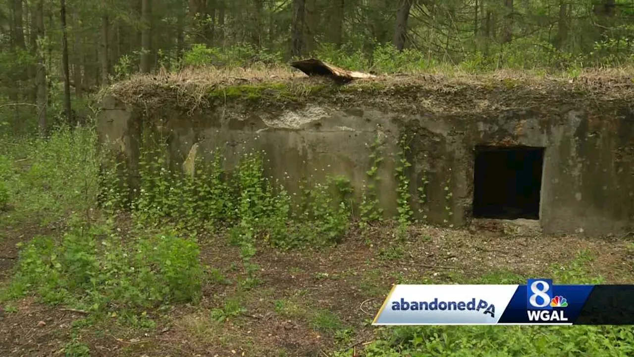 Secret World War II POW interrogation camp has been forgotten in state forest in Cumberland County