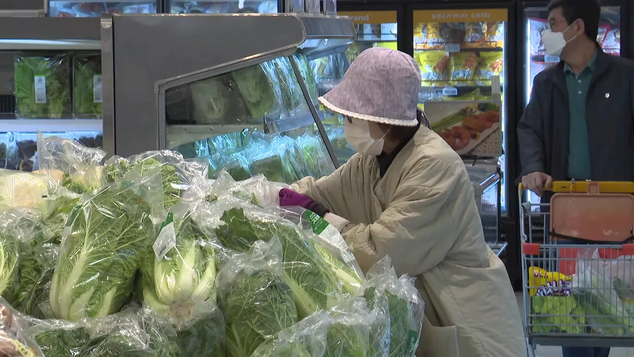 '김장물가 잡아라'...정부, 배추·소금 각 1만 톤 방출