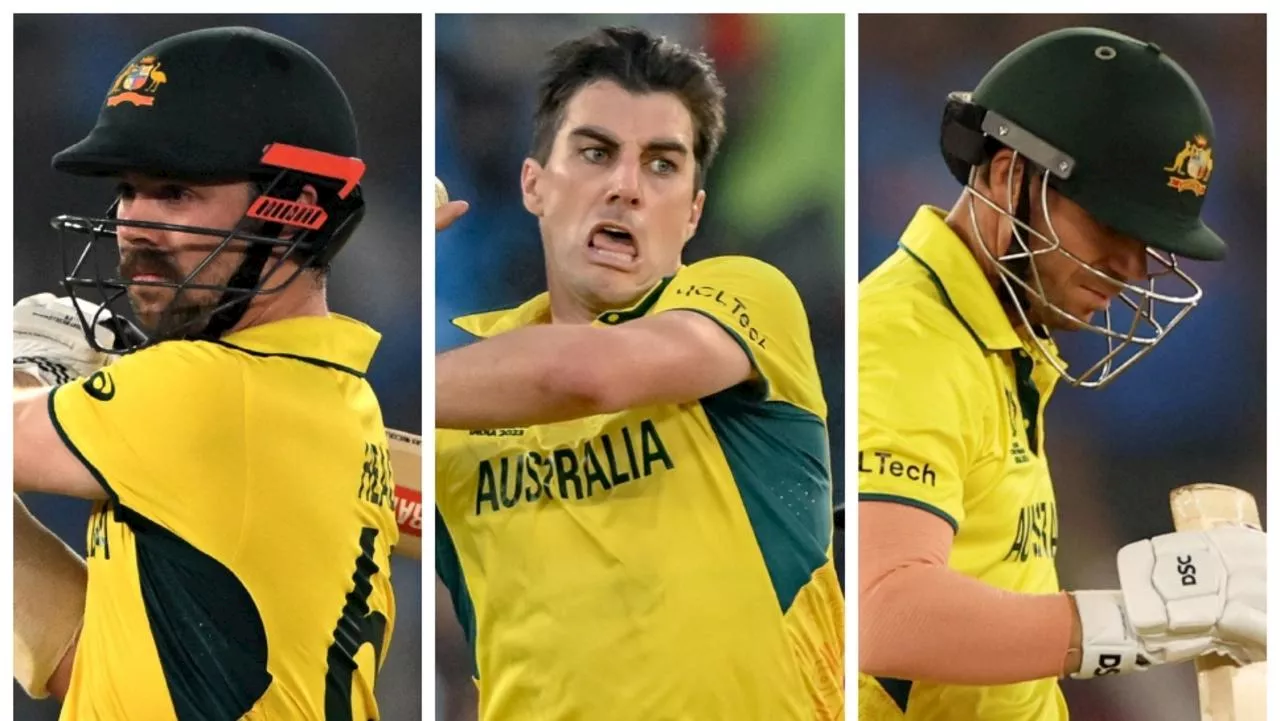 Head's century in World Cup final goes in vain as Australia falls short