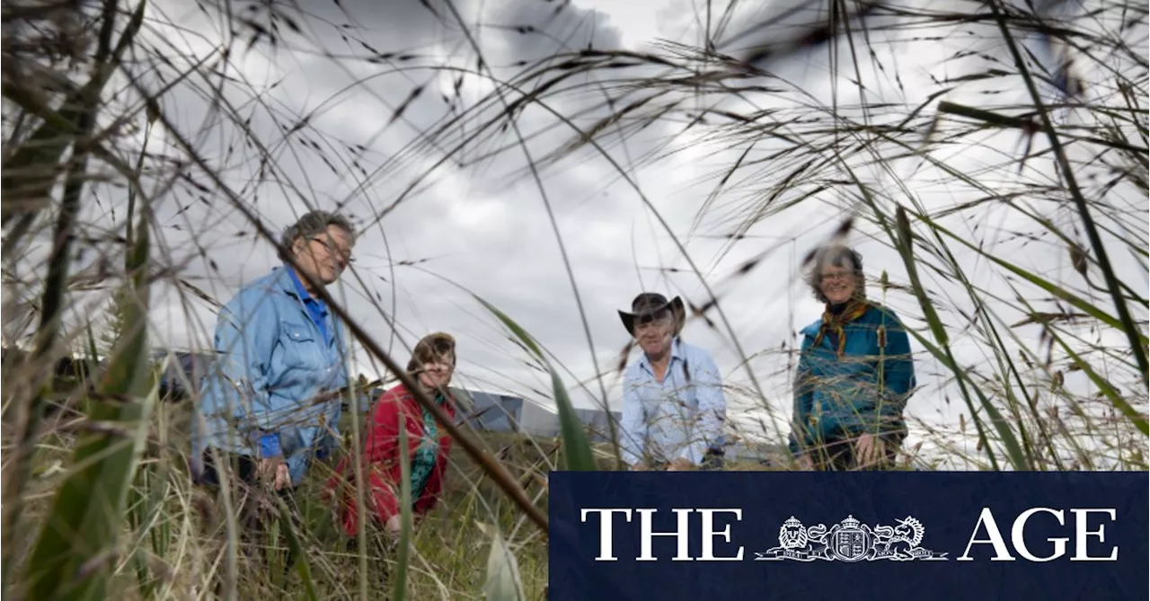 Indigenous people to manage new park in Melbourne's north