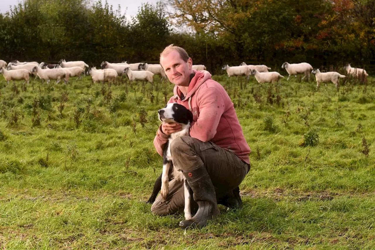 Ted Staveley and his wife Lexi take on tenancy of Highfield House Farm