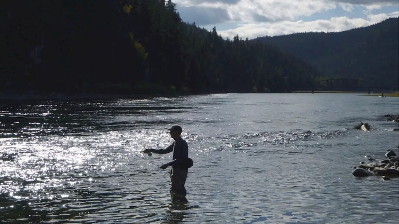 U.S. study finds Canadian mining toxin in American waters; treatment 'a small dent'