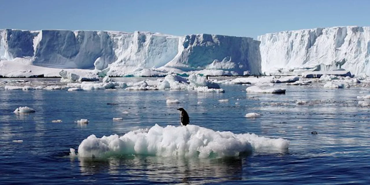 L'ONU alerte sur les prévisions de réchauffement climatique avant la COP28