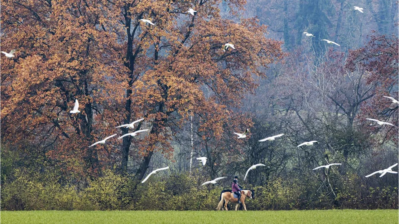 Temperaturen gehen deutlich zurück