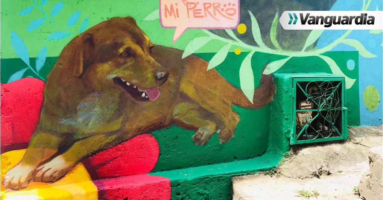 Cinco murales en diferentes barrios de Bucaramanga