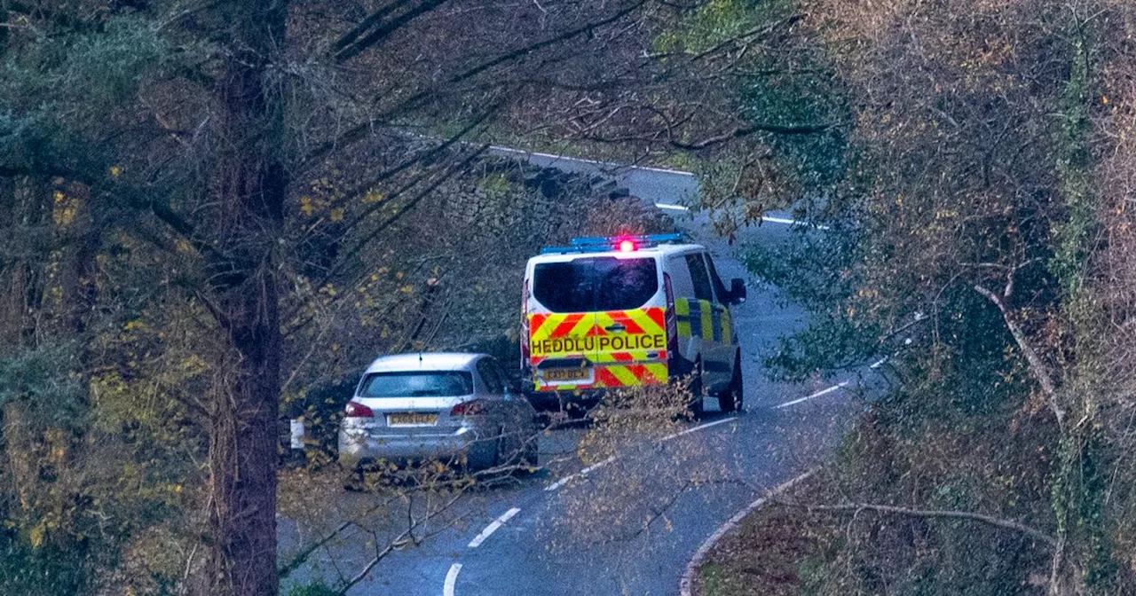 Bodies of four teenage boys found in car after binman's discovery