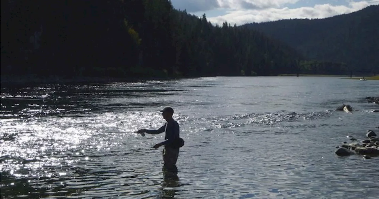 Selenium Contamination from Canadian Coal Mines Continues to Flow into US Waters