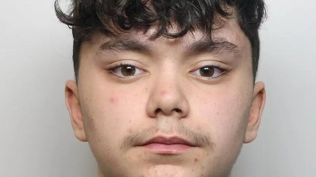 Teenager sentenced for killing elderly man with one punch