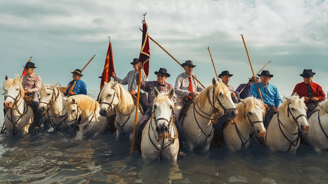 Pèlerinage Gitan: A Riotous Romani Pilgrimage in France