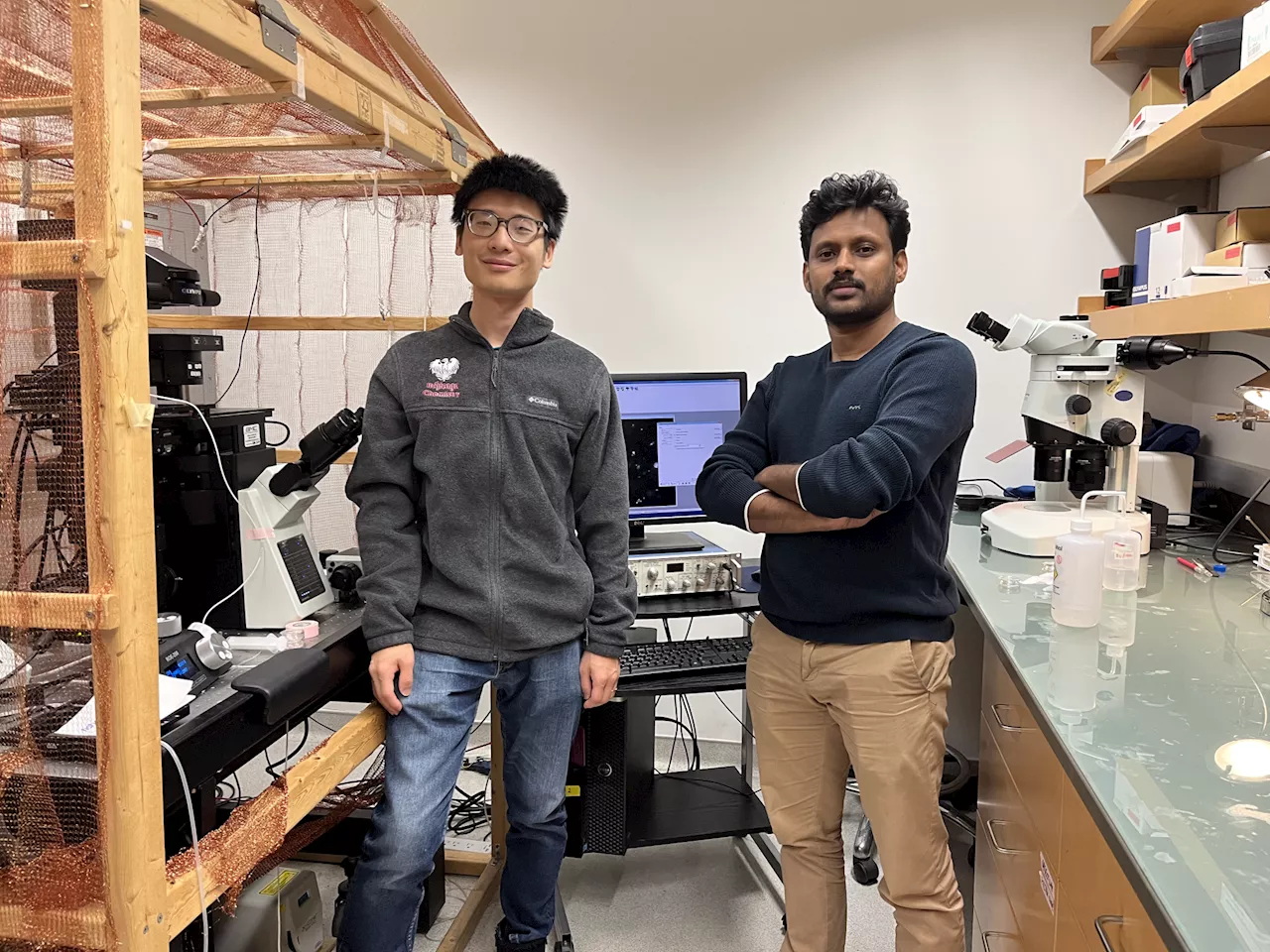 Exploring Sodium and Potassium Ion Movement within Cells