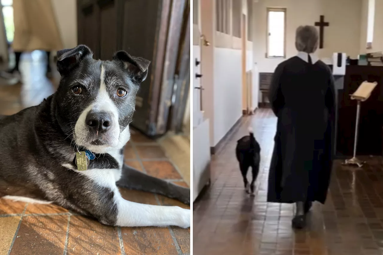 Nun's Video of Rescue Dog Attending Chapel Services Goes Viral