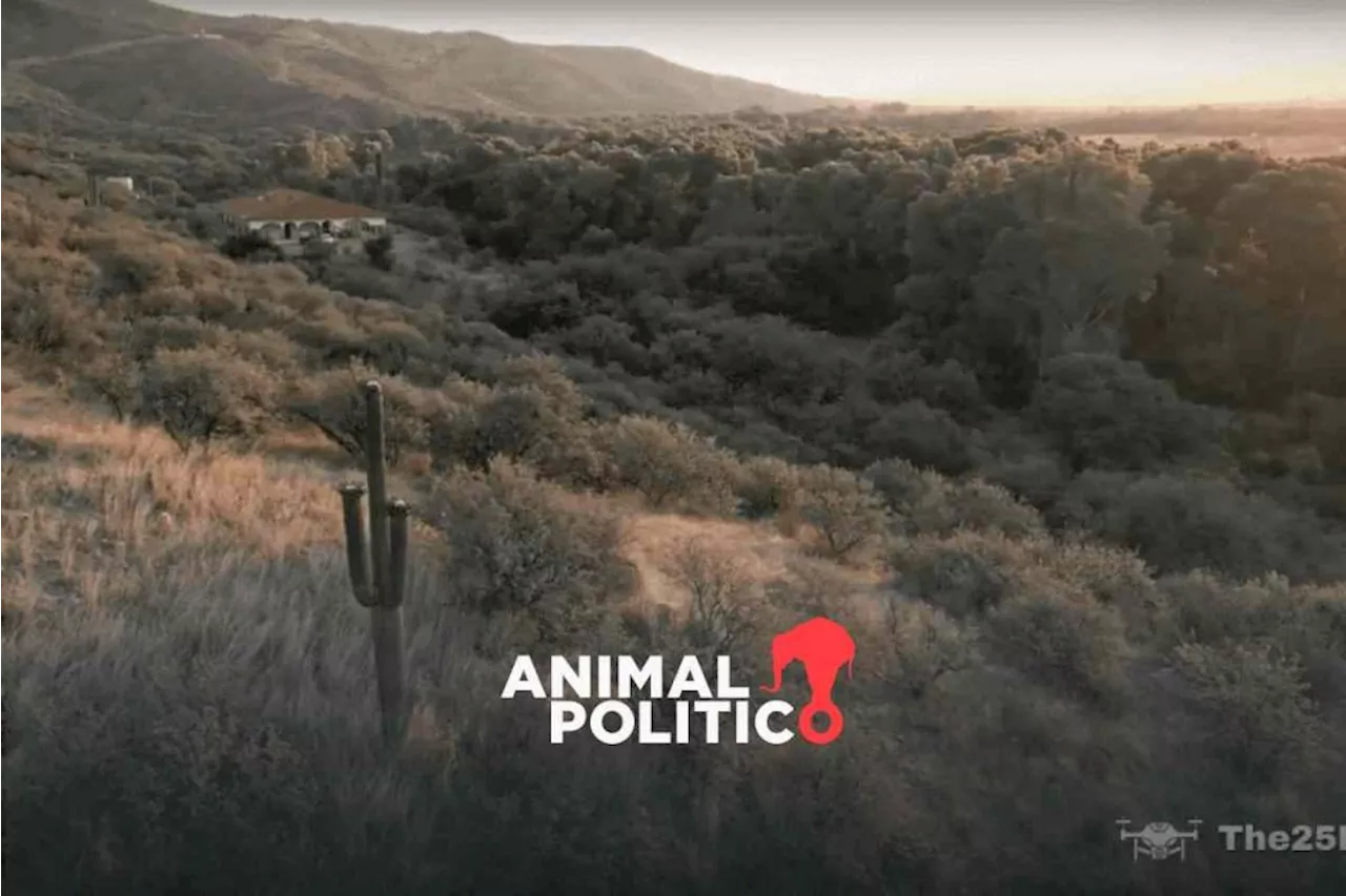 Comienza la tala de árboles en un Área Natural Protegida en Ímuris, Sonora