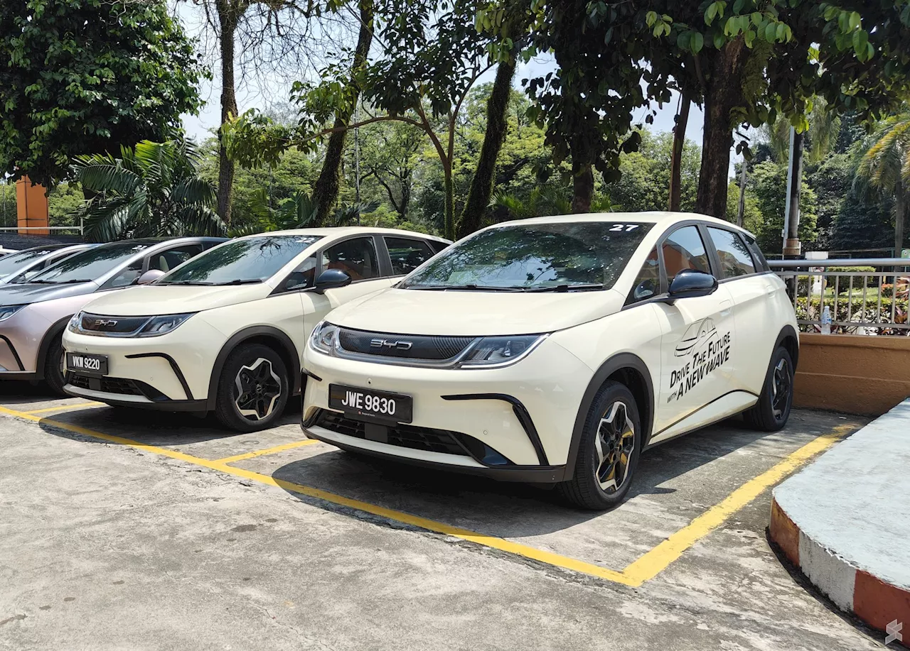 BYD Dolphin Dynamic Standard: A Serious Contender for Affordable EVs