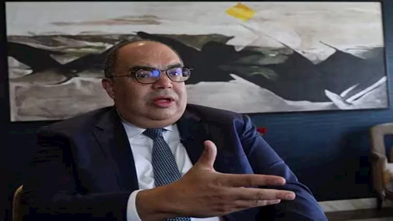 Egypt's climate champion suggests extending financing scheme to hard-to-abate sectors