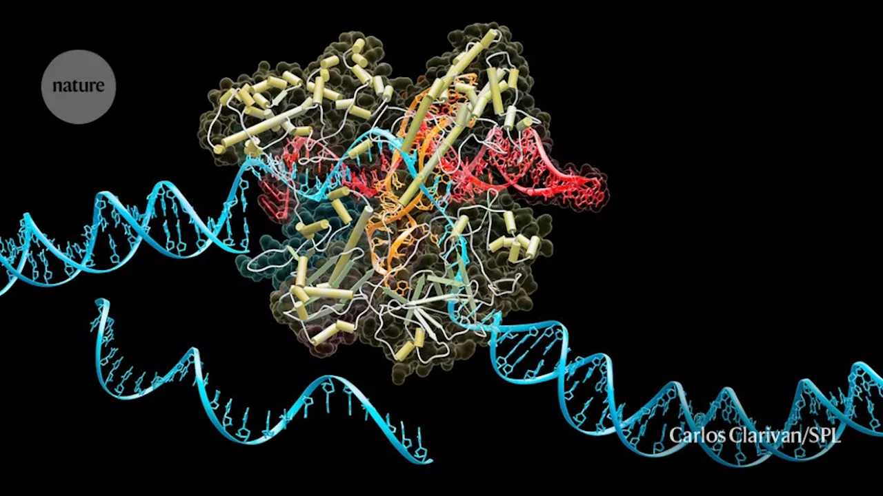 Researchers Discover New Types of CRISPR System