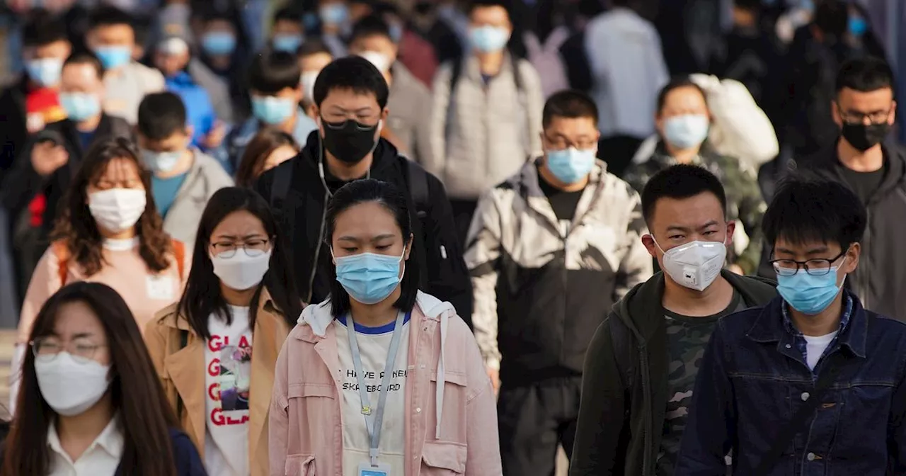 WHO seeks answers from China as unknown respiratory illness spreads