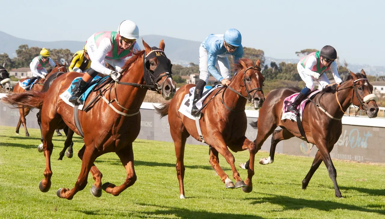 Two Enthusiasts Saving Horse Racing in the Western Cape