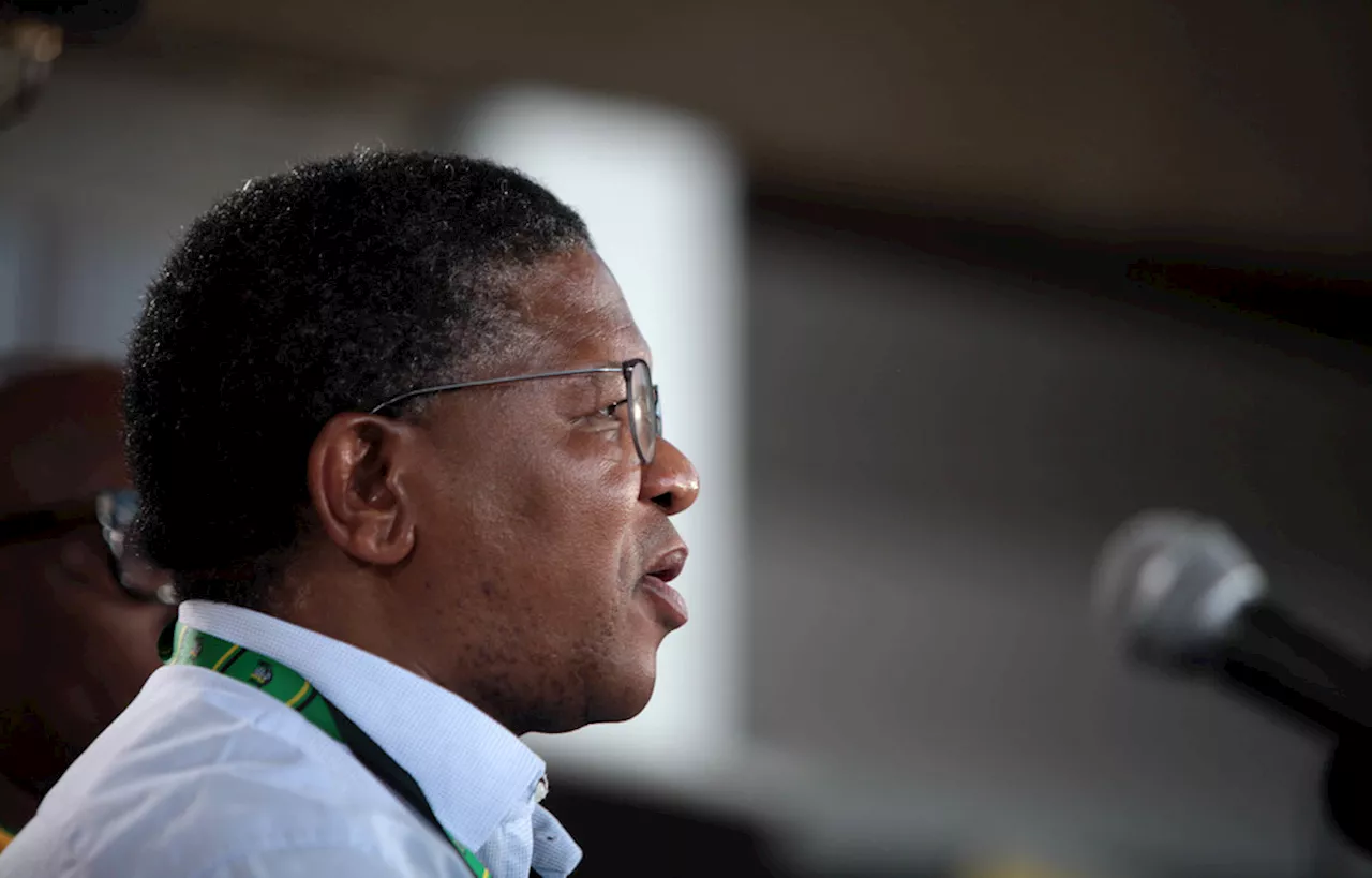 ANC Secretary General Faces Scrutiny Over Lawsuit Evidence